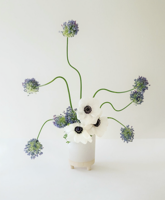 Conheça as 3 empreendedoras em que investimos para o Dia Internacional da Mulher